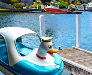 A vibrant paddle boat floating peacefully on the calm, sparkling waters of the Gippsland Lakes, surrounded by lush greenery and a picturesque blue sky. Perfect for family adventures and scenic escapes.