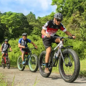Mountain Bike For Adults