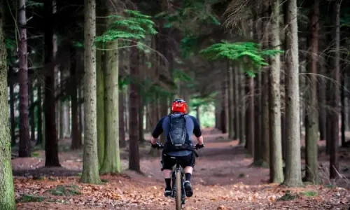 Best-Mountain-Bikes-for-Hire-in-Paynesville-Gippsland Holidays