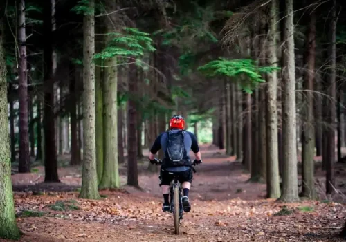 Best-Mountain-Bikes-for-Hire-in-Paynesville-Gippsland Holidays