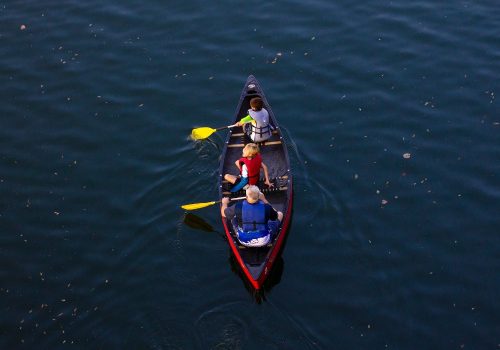 Cheap Kayak Hire in Paynesville