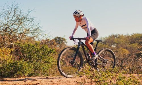 Cheap Mountain Bikes for Hire in Paynesville