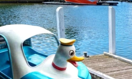 A vibrant paddle boat floating peacefully on the calm, sparkling waters of the Gippsland Lakes, surrounded by lush greenery and a picturesque blue sky. Perfect for family adventures and scenic escapes.