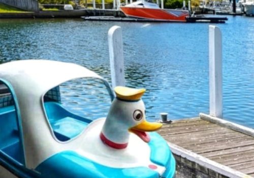 A vibrant paddle boat floating peacefully on the calm, sparkling waters of the Gippsland Lakes, surrounded by lush greenery and a picturesque blue sky. Perfect for family adventures and scenic escapes.