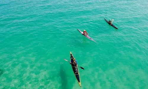 Kayak-Hire-in-Paynesville