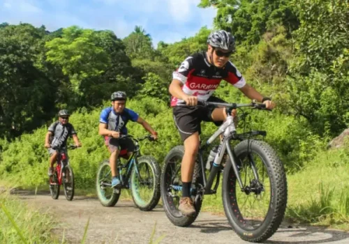 Three cyclists riding off-road bikes on a path surrounded by lush greenery, showcasing outdoor adventure opportunities at