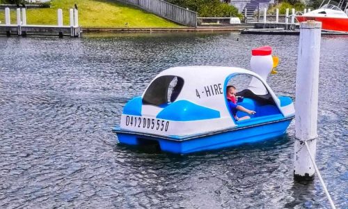 Pedal Boat Hire (1)