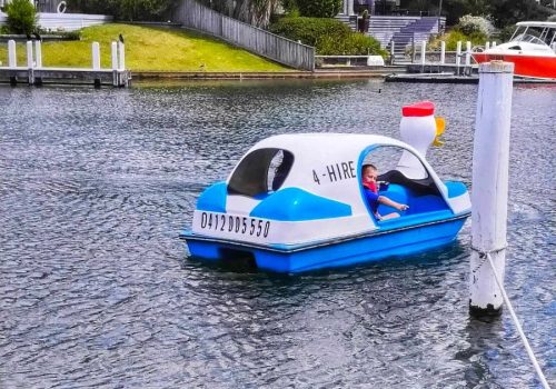 Pedal Boat Hire (1)