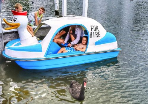 Pedal Boat Hire (2)