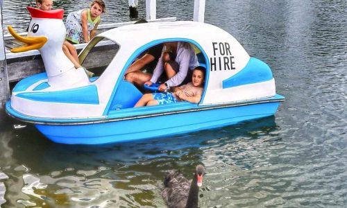 Pedal Boat Hire (2)