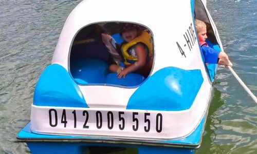 Pedal Boat Hire (3)
