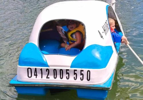 Pedal Boat Hire (3)