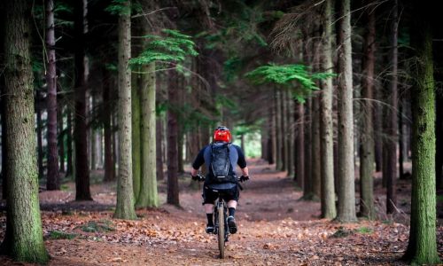 mountain bike hire in paynesville