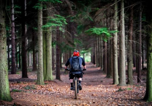 mountain bike hire in paynesville